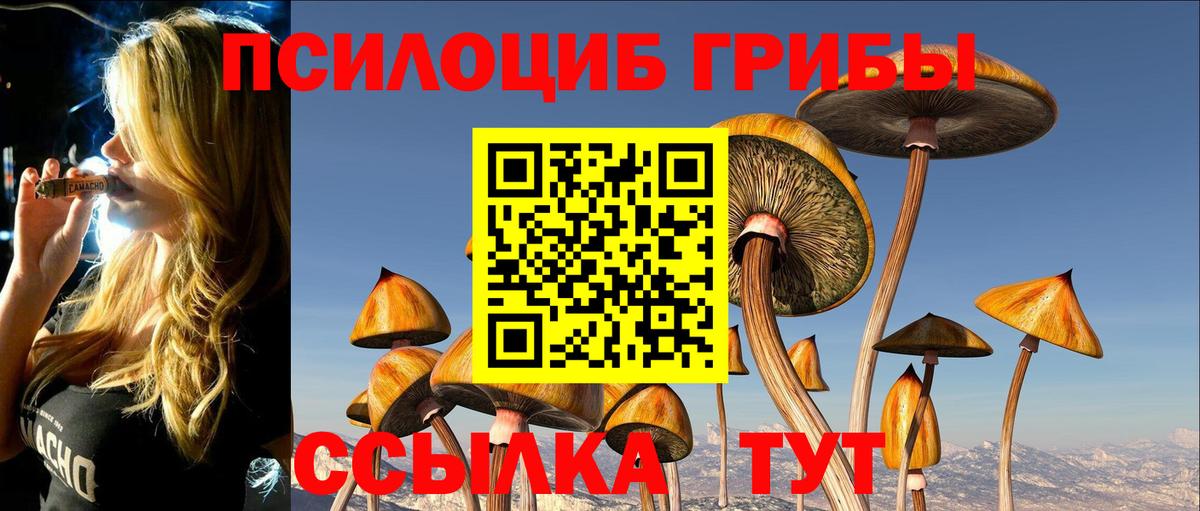 Галлюциногенные грибы GOLDEN TEACHER Куйбышев