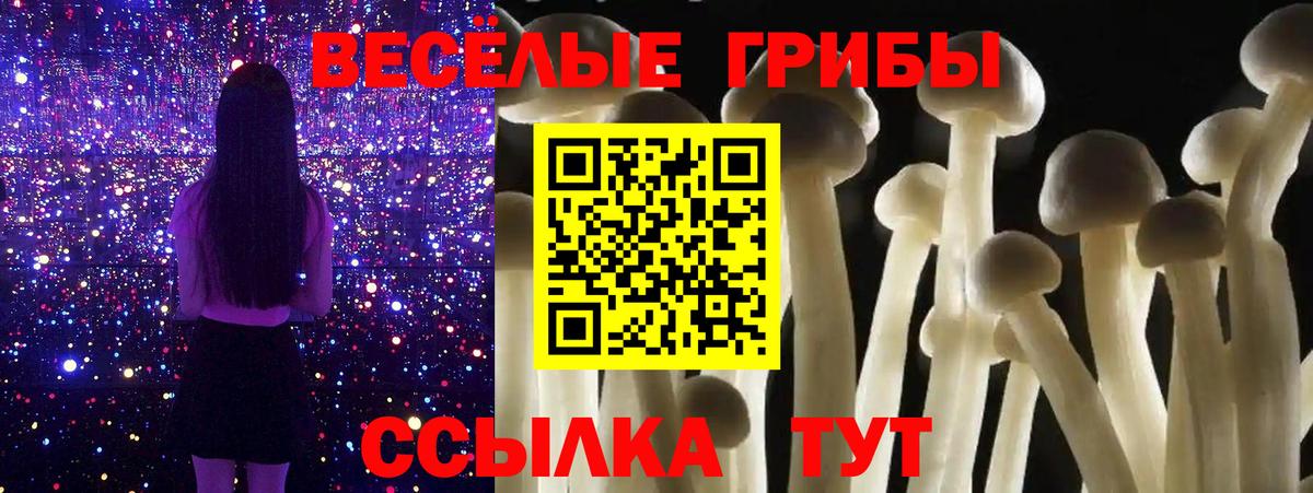 Куйбышев  Галлюциногенные грибы Magic Shrooms  Вход с VPN 